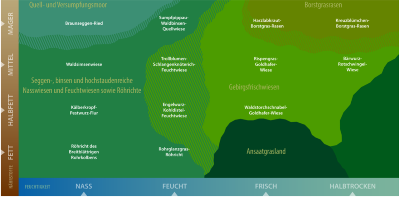 Wiesen, Arten
