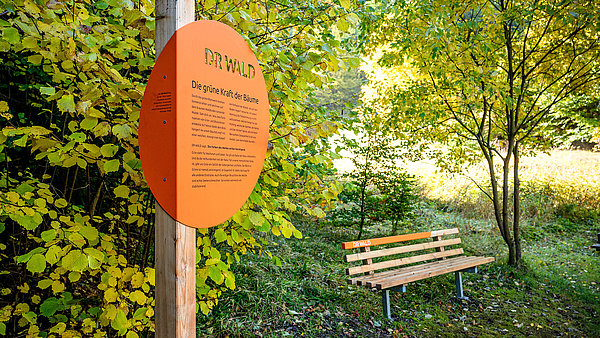 Schild zum Wanderweg DR WALD Weg mit Bank 